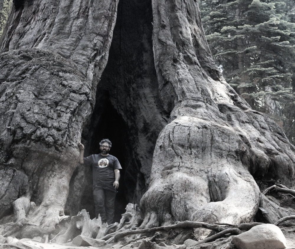Presentazione del libro “Giona delle Sequoie”
